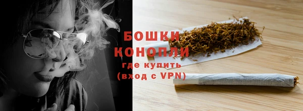 ПСИЛОЦИБИНОВЫЕ ГРИБЫ Горняк