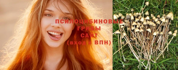 ALPHA-PVP Рославль