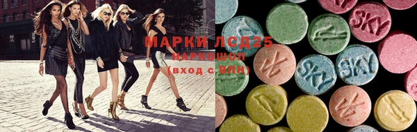 ПСИЛОЦИБИНОВЫЕ ГРИБЫ Горняк