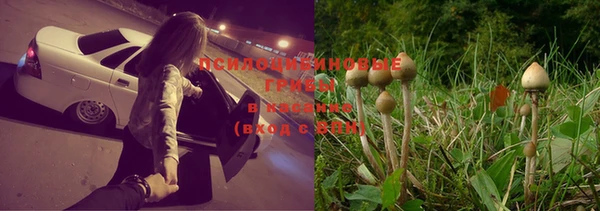 альфа пвп Горно-Алтайск