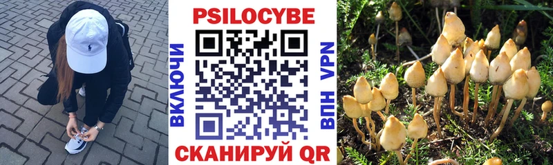 Галлюциногенные грибы мицелий  хочу наркоту  Гусиноозёрск 